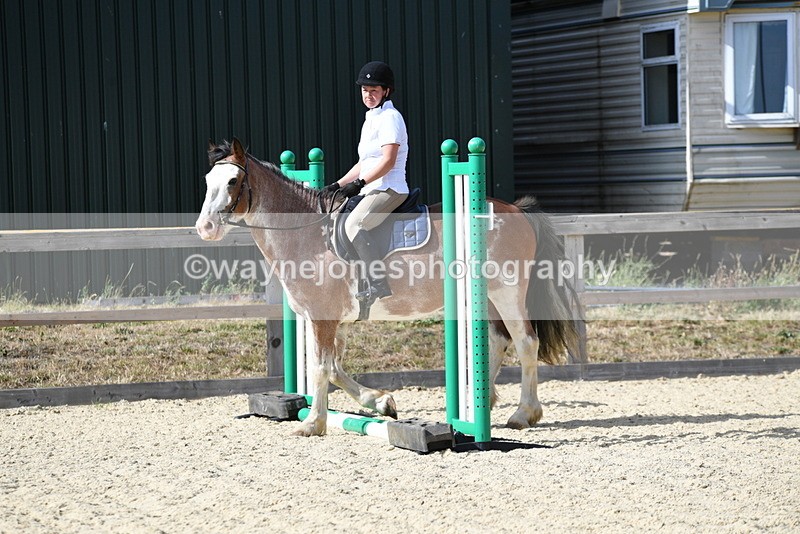 WJ5_5544 - Poles on the Floor