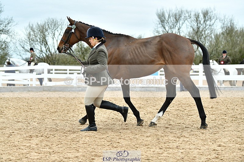 230416A-144319-05288 - Cls 64 Racehorse to Show Horse