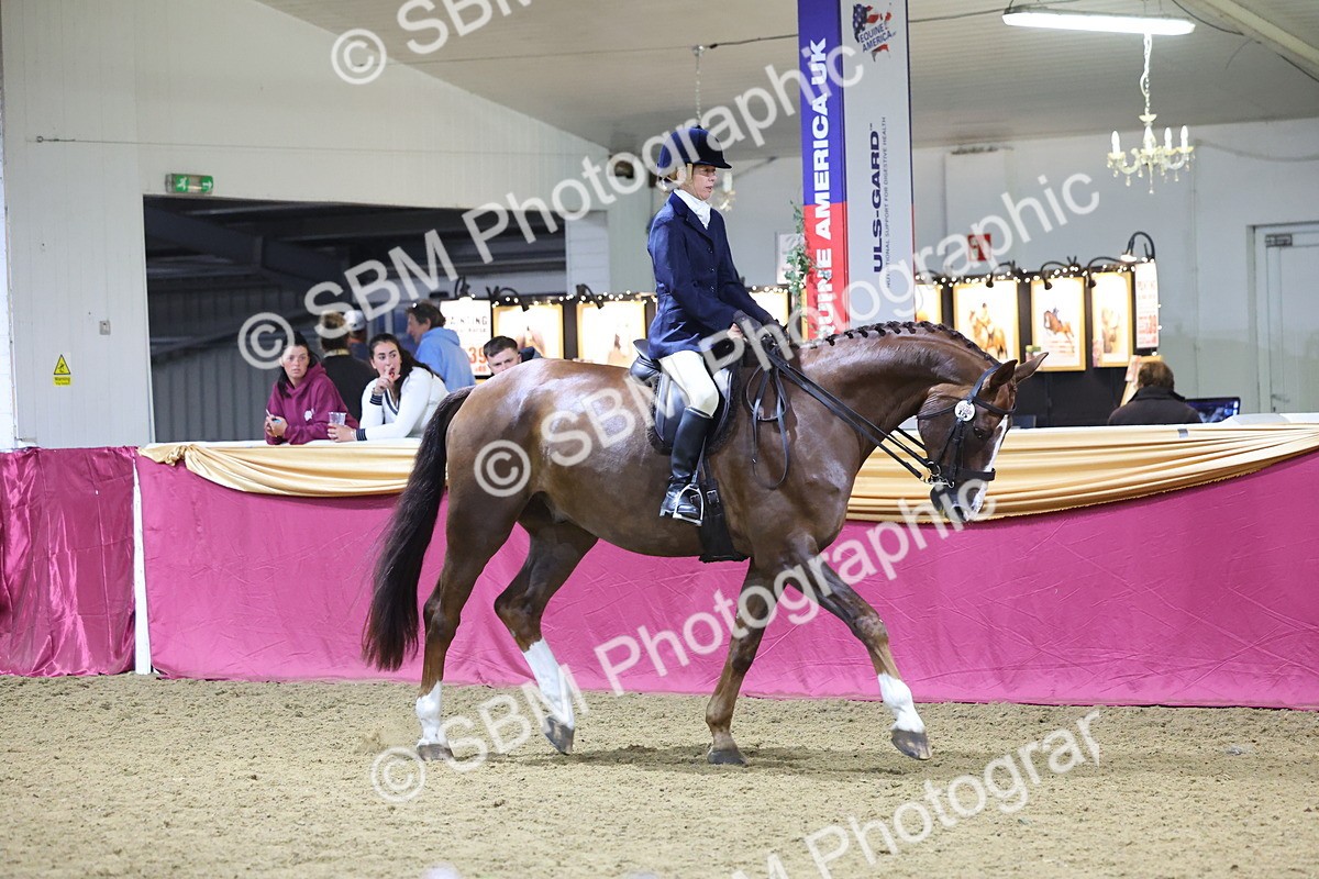 0B8A4474 - Class O Ridden Show Horse Champ