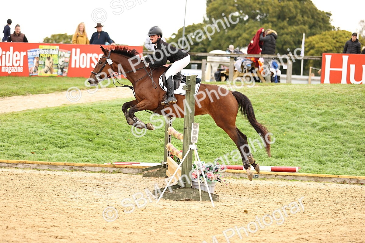 SBM_58316 - J41 - Grand Tour Horse & Pony 95cm