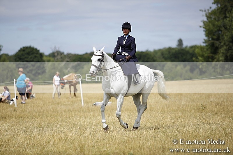 _C7A0296 - Side Saddle Classes BVRC Show 2018