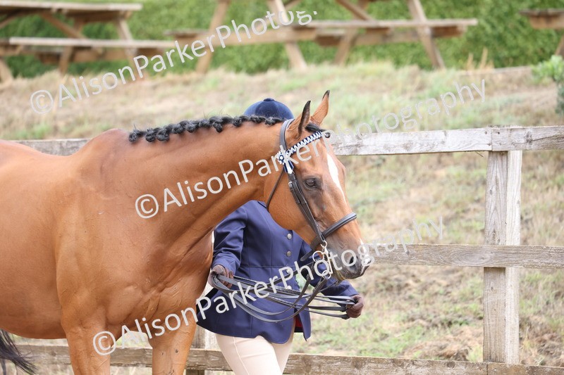 20260831-1900 - Class 5 - Retraining of Racehorses