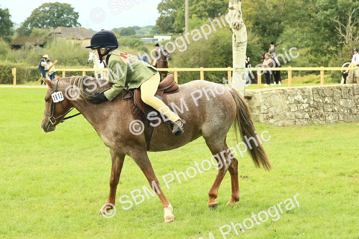 SBM_69966 - S59 - Mountain & Moorland Ridden Small Breeds