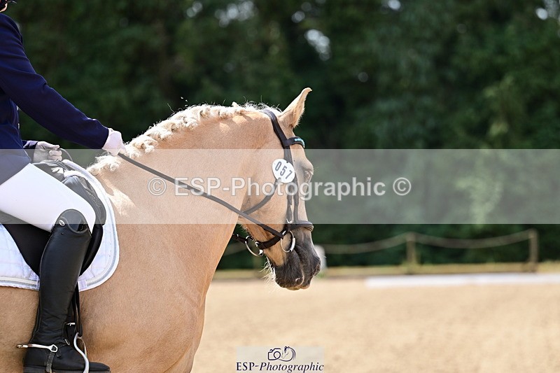 260802A-111135-05724 - Novice Silver break - break