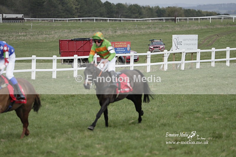 PtP 260323 1006 - New Forest Hounds Point-to-Point Larkhill 26/03/23