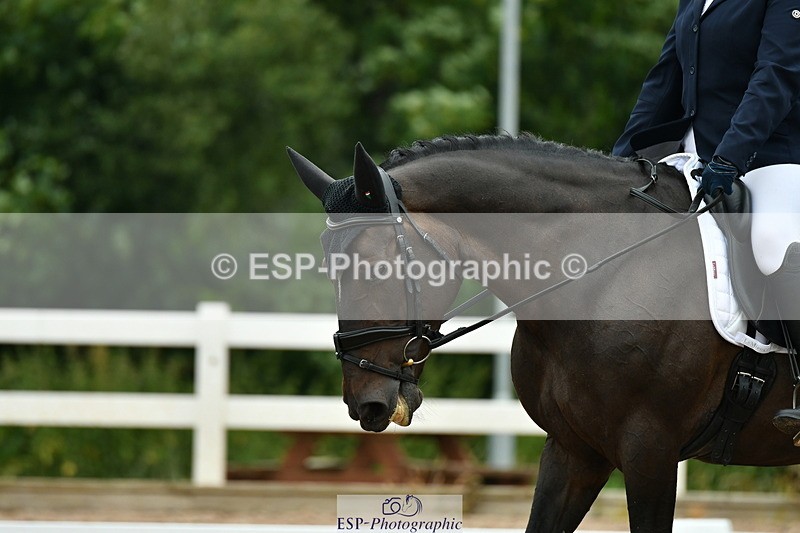 230708A-120022-01237 - Novice 23