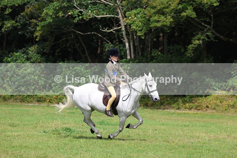 3E7A6087 - Working Hunter Championship