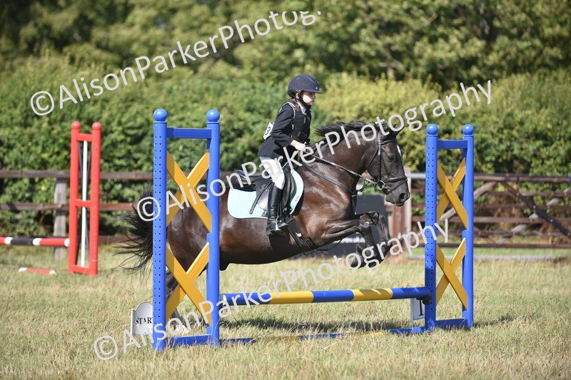 20260906-1695 - Class 9 - Absolute Novice Jumping 45cm