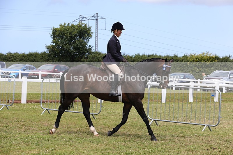 1X9A4398 - Class 34: Veteran Ridden