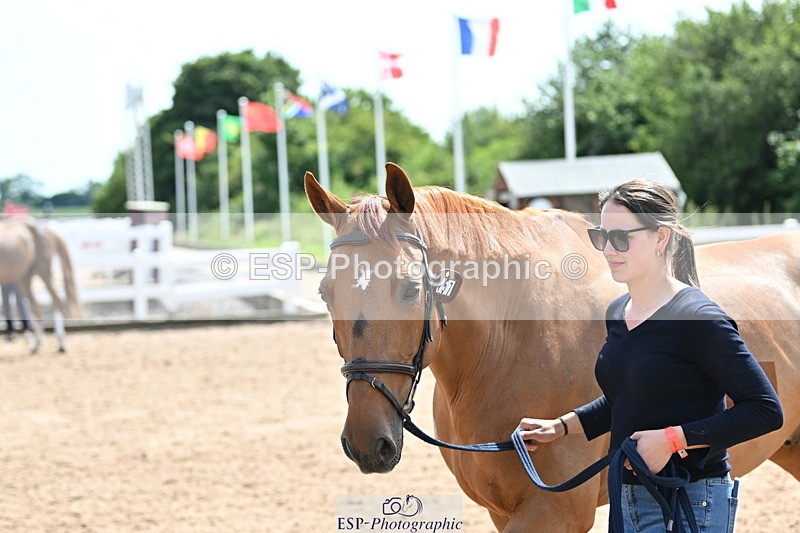 240717A-150708-02561 - Trot Up 3pm to 4pm