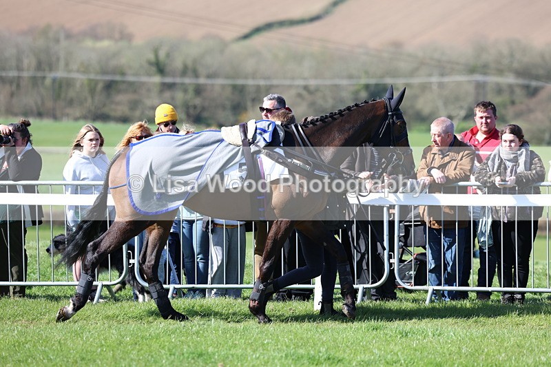 3E7A5622 - Race 6: Maiden (NWFAA)