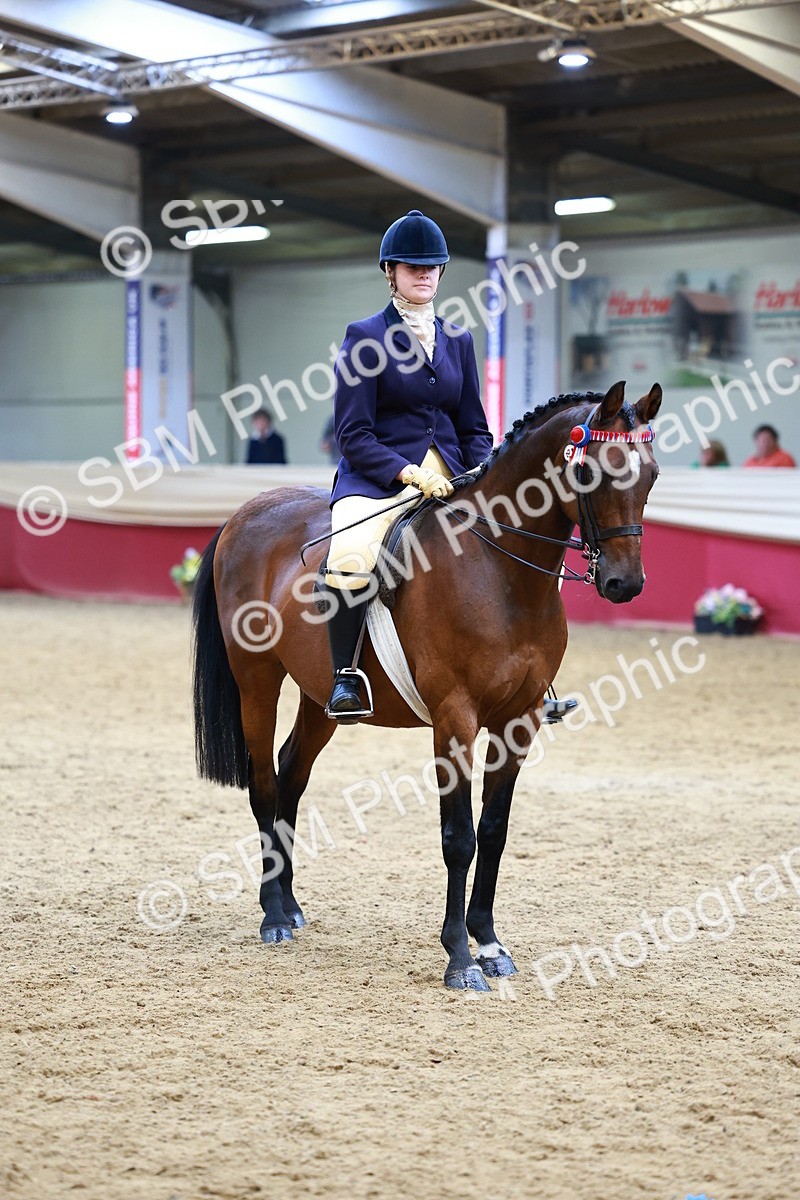 SBM_23749 - Class 905 - Supreme Final - Ridden Veteran