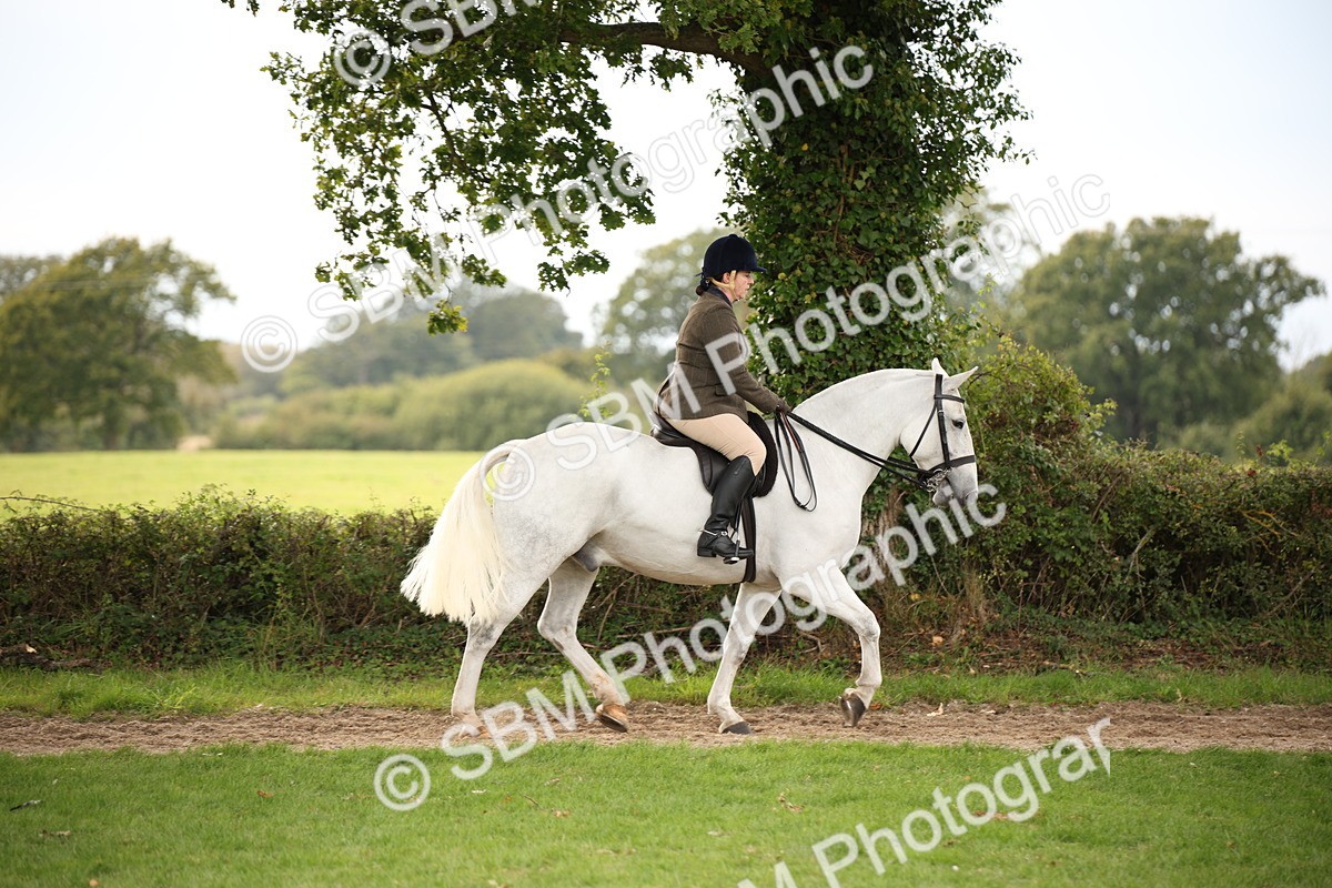 SBM_72354 - S67 - Show Cob Ridden