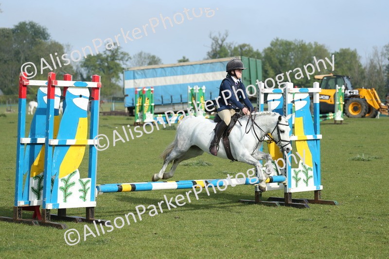 20260426-0099 - Class 13 - Rookie Jumping 50cm
