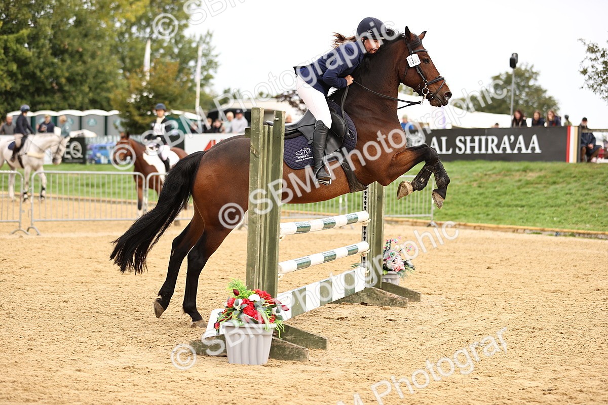 SBM_58512 - J41 - Grand Tour Horse & Pony 95cm