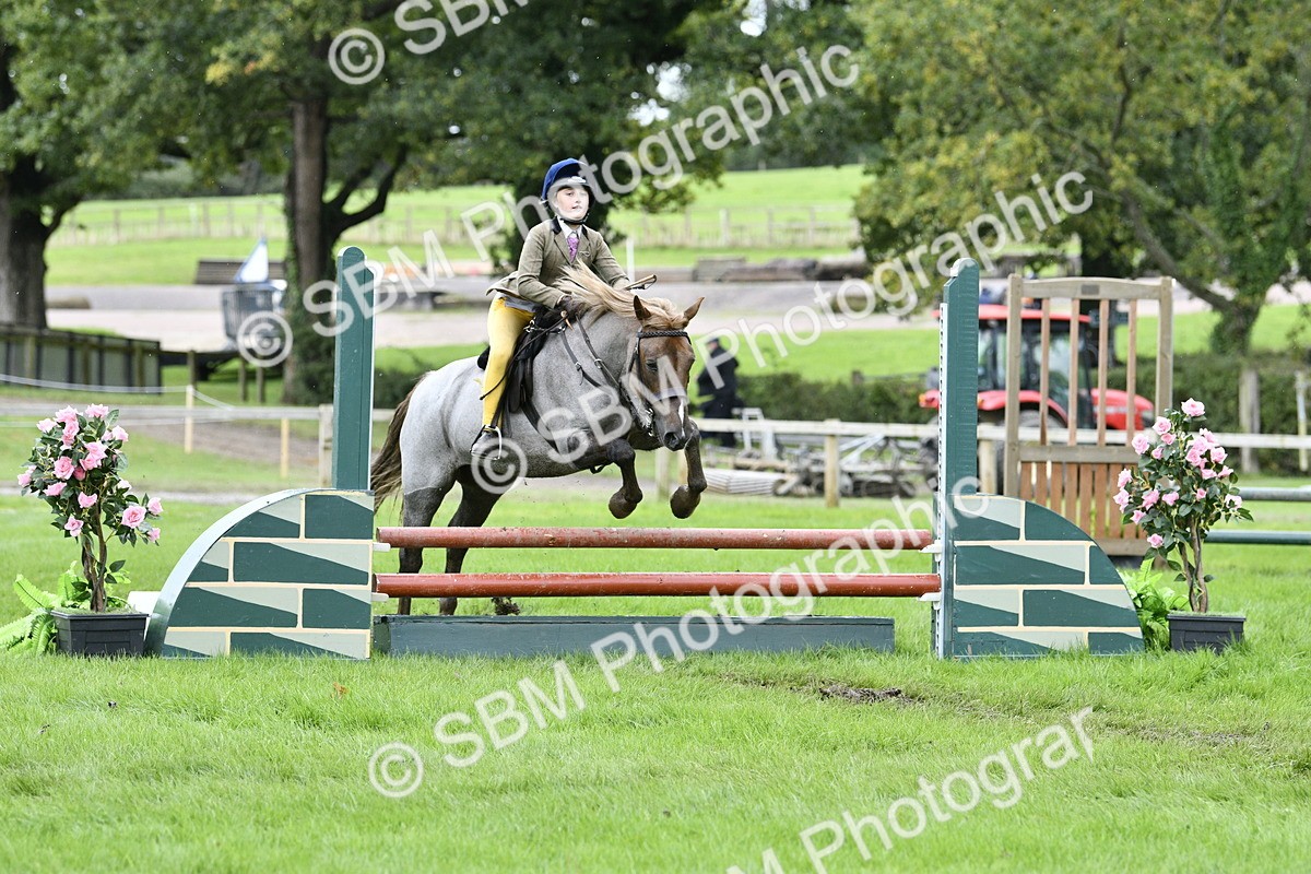 SBM_41337 - S32 - Mountain & Moorland Working Hunter Pony