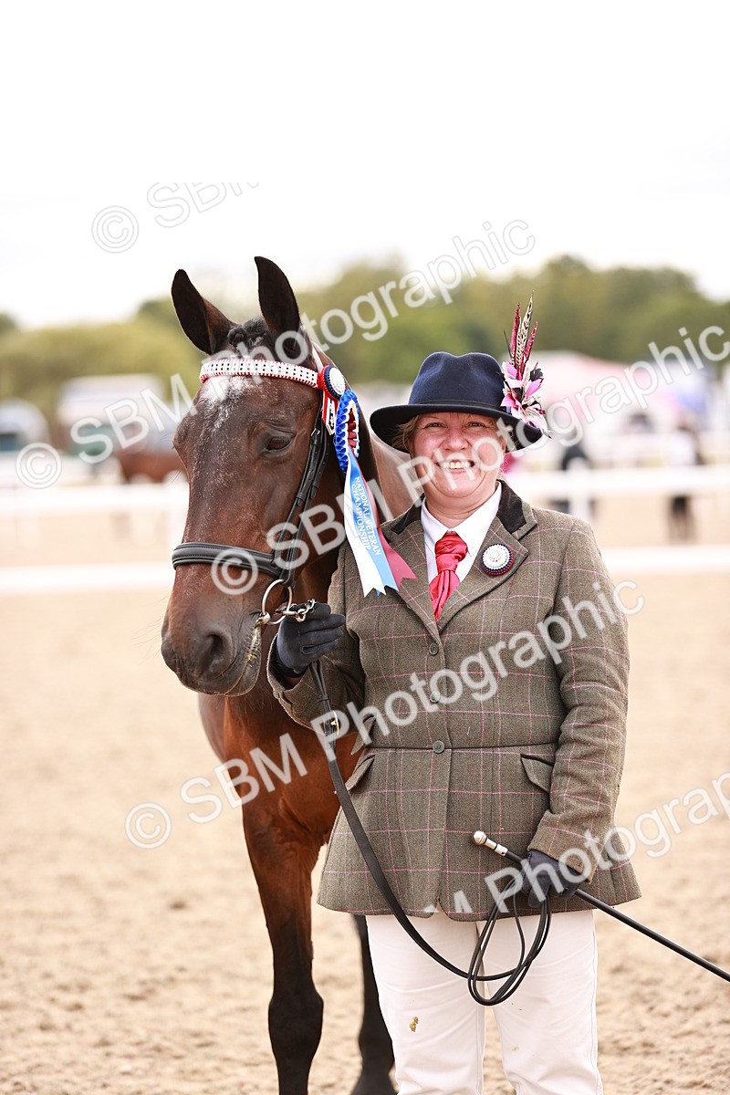 SBM_16368 - Class 413 - Best Condition - Adult