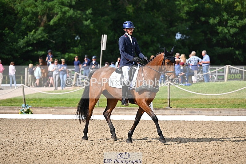250523A-093942-05295 - C-258-Bill.Levett-ITALIAN.HARLEQUIN.NJ