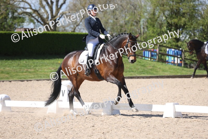 20260405-0599 - Class 7 - Medium 5