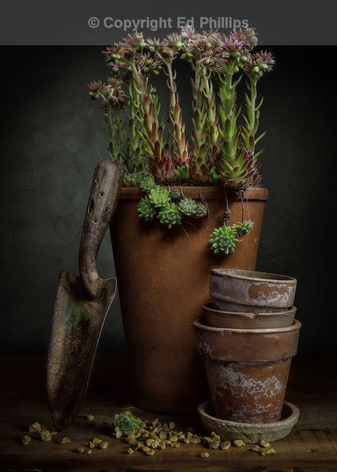 The Vintage Trowel