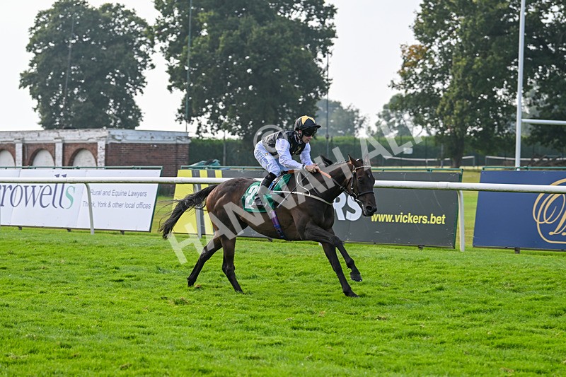 070924-Race 6-La Pulga-7855 - Race 6