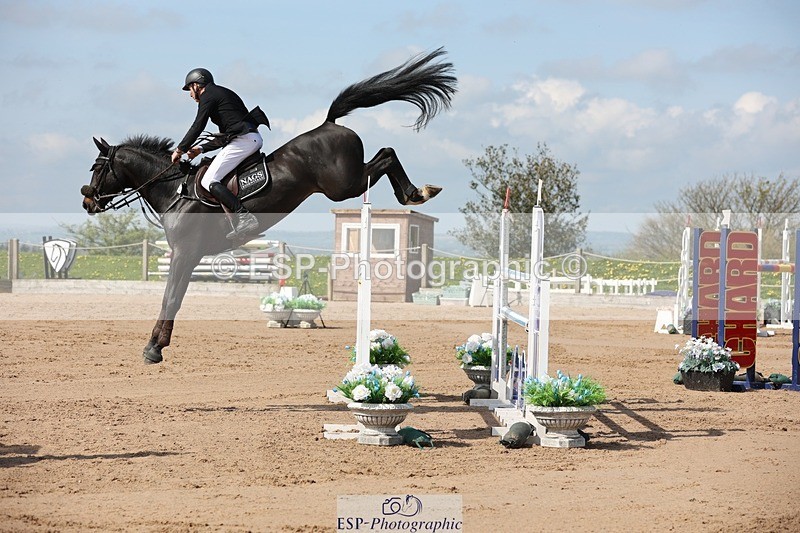 250427-105531-15702 - Cls 36 Young Horse 7yr old