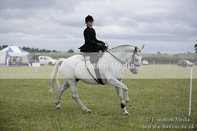 BVR160717-1933 - Side Saddle Classes 16/07/17
