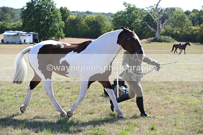 WJ6_4238 - Class 16 Condition & Turn Out