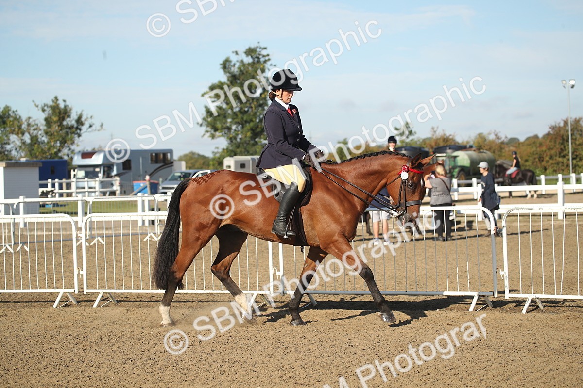 SBM_11268 - Class 501 -Riding Club Pony