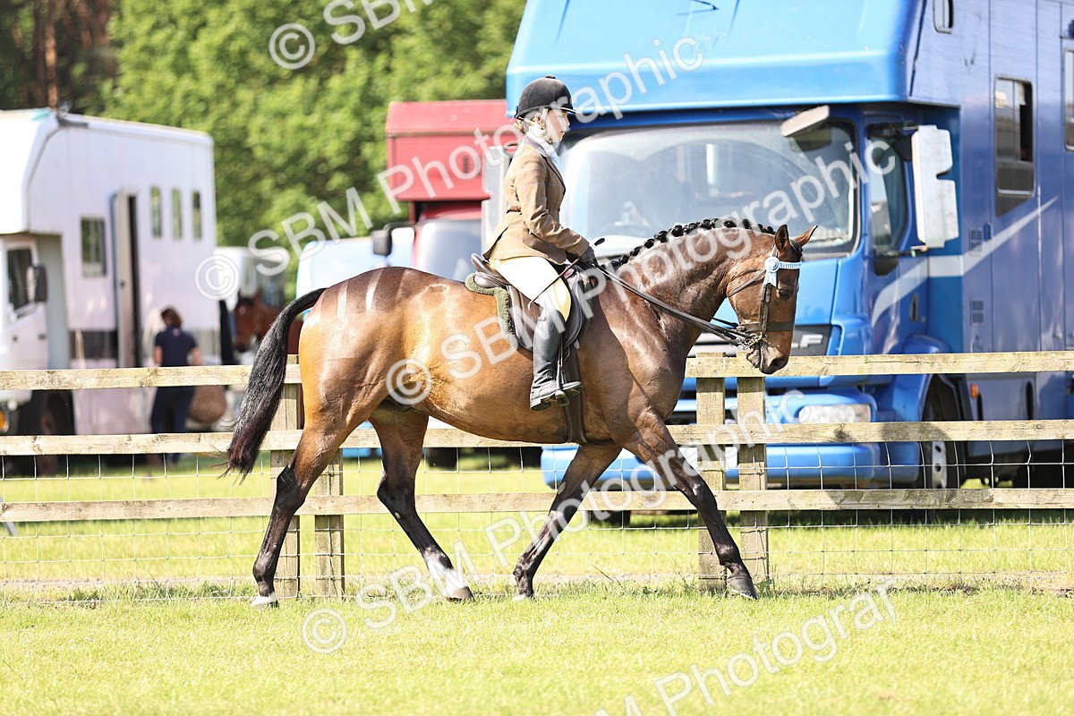 SBM_12888 - Class 75-76 LIHS BSHA Rising Star Hack Riding Horse