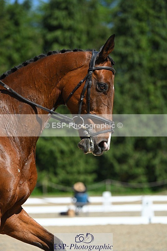 230526-151620-07149 - 489-NATIVE_SPIRIT-Louise_Harwood-DR