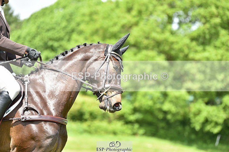 240523B-132710-02418 - 5 Year Old