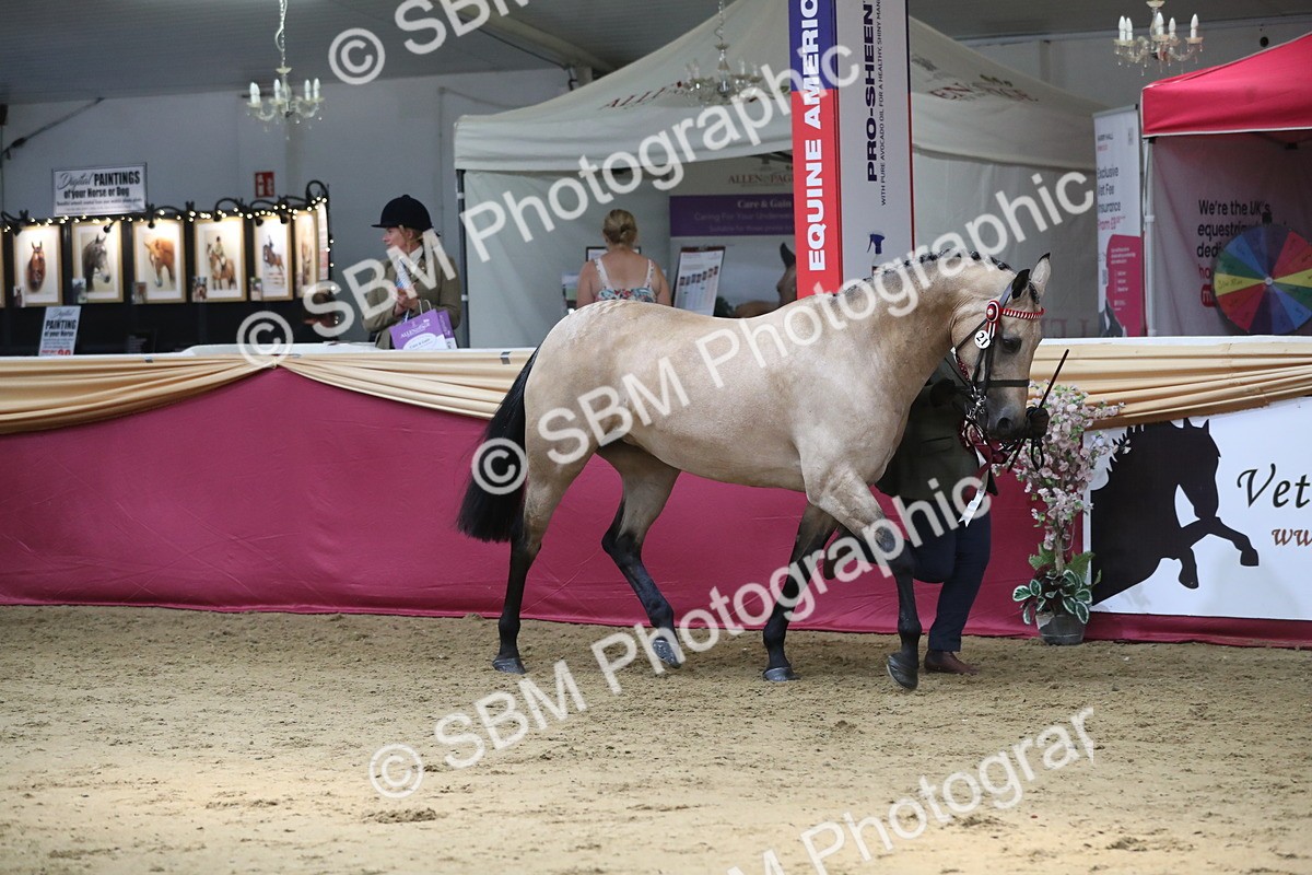 SBM_06619 - Regional IH Champ