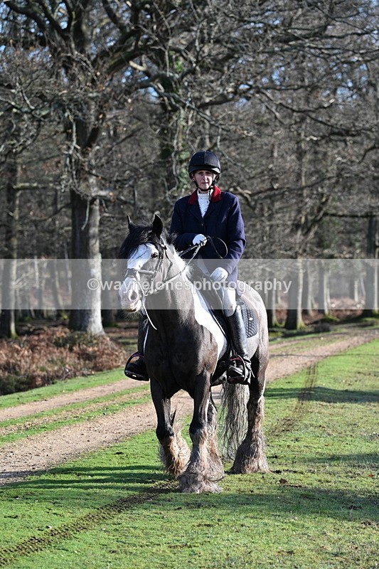 WJ7_7827 - Line 3 (no line 4 or 5)