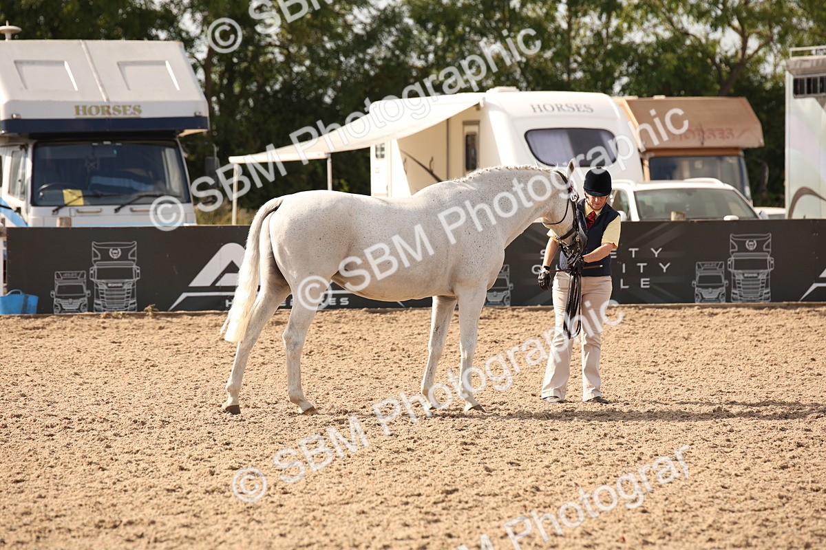 SBM_08192 - Class 27 - IH Competition Horse-Pony