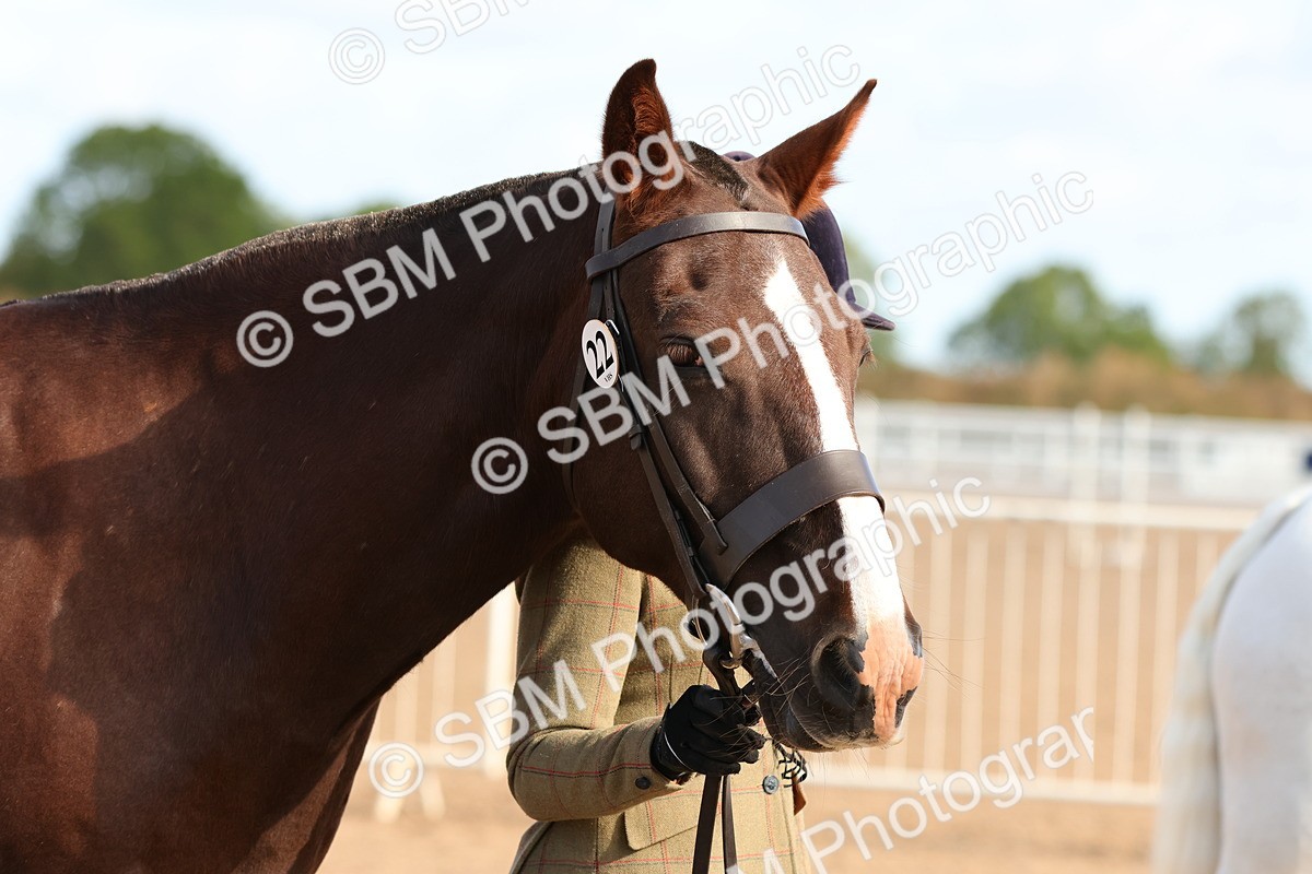 SBM_09227 - Class 204 - Young Handler