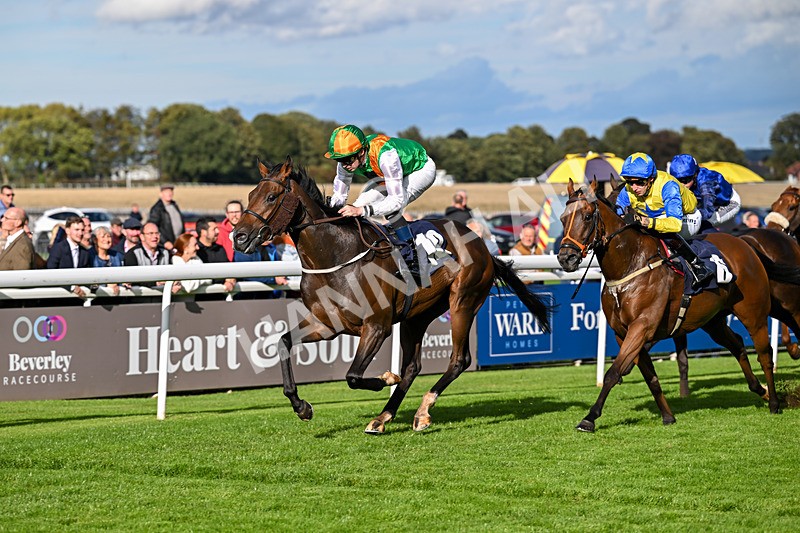 170925-Race 5-Hashtagnotions-5419 - Race 5