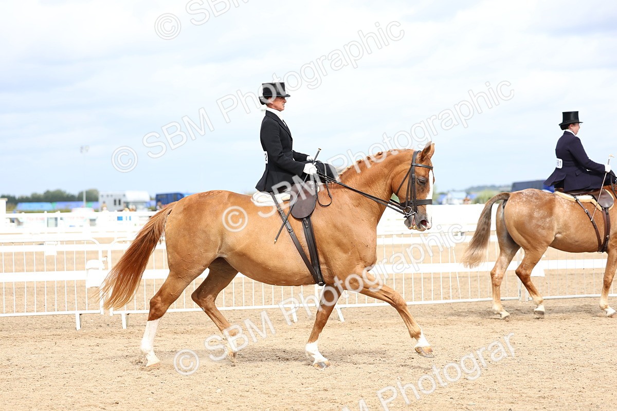 SBM_03398 - Class 24 - SSA Concours d'elegance (any age)