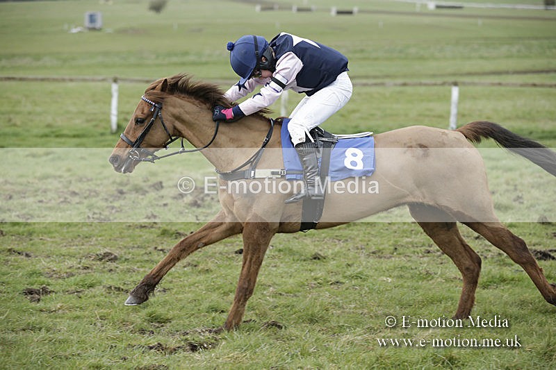 PtP 150320 0792 - New Forest Point-to-Point Larkhill 15/03/20