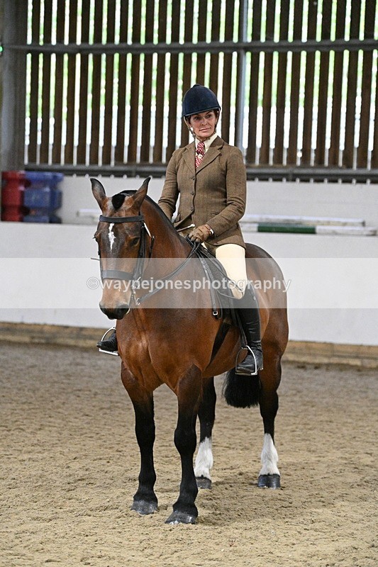 WJ7_3924 - Class 17 Ridden Cob