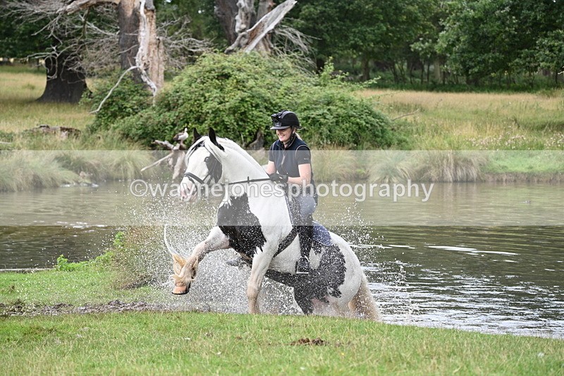 WJ7_2542 - Time at Water 11:14 to 11:36