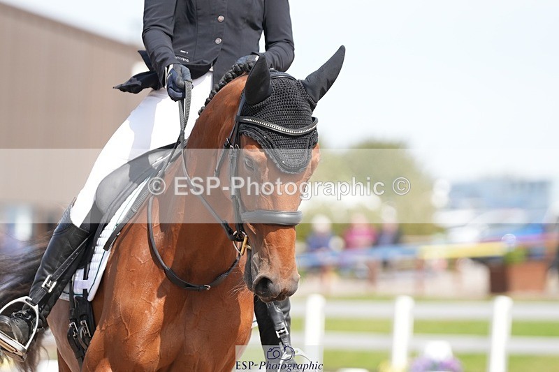 250906-133649-03664 - 066-Alice.KneenSpringtime.Marvel