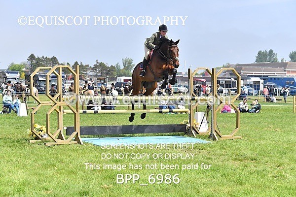BPP_6986 - CLASS 3 RHS Fox Champ Qual (1.20m)