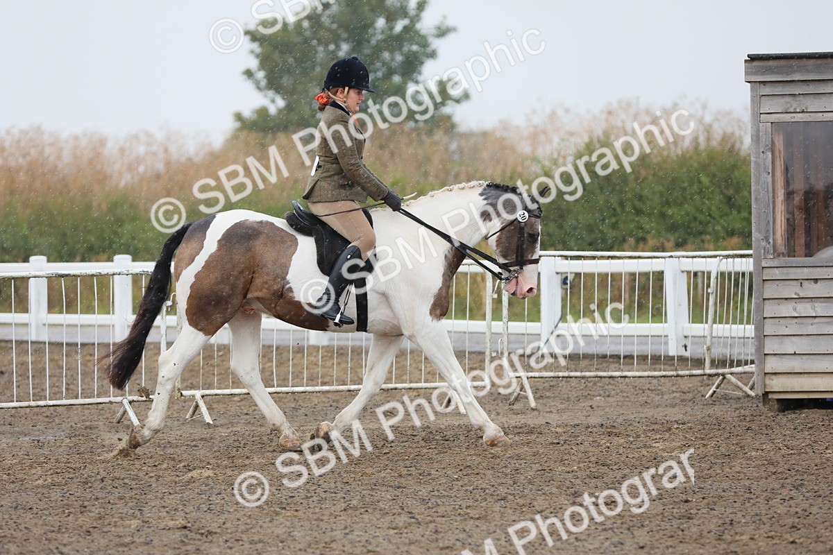 SBM_20550 - Class 804 - Ridden Veteran Pony