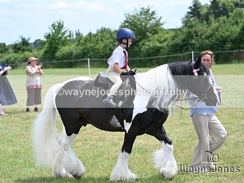 WJ7_8262 - Nancy And Churchill SORC summer show 21-06-26
