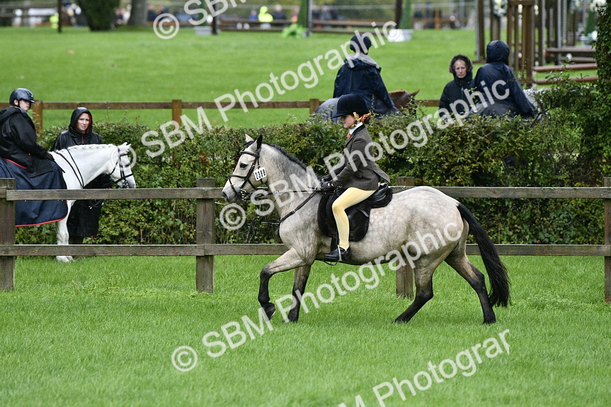 SBM_35537 - S30 - Nursery Stakes Working Hunter Pony