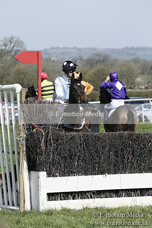 PtP 260317 28 - Mendip Farmers Point-to-Point Ston Easton 26/03/17