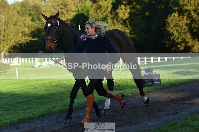 231022-085926-21492 - 603-KILBUNNY.BLUE.BIRD-Claire.Deuten-TrotUp+SJ