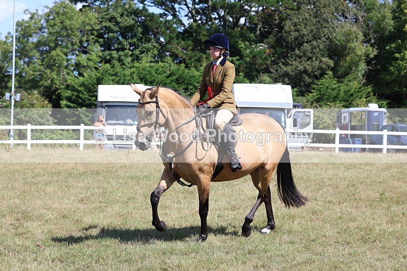 3E7A6389 - Working Hunter Championship