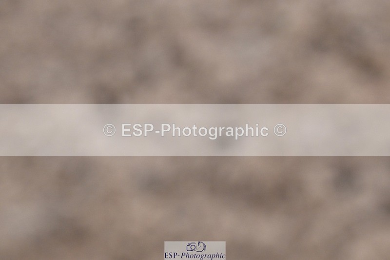 250527-154245-00058 - Clear Round and60cm